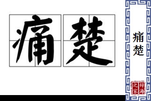 痛楚的意思、造句、近义词