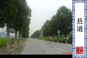 县道