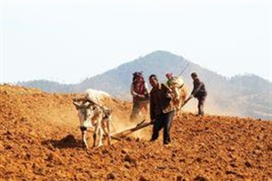 耕种的意思、造句、近义词