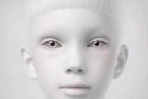 面容的意思、造句、近义词