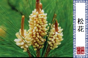 松花