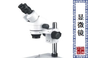 显微镜