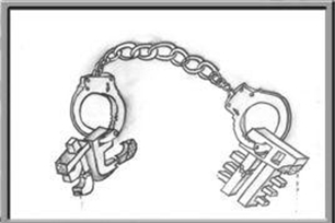 犯罪的意思、造句、反义词