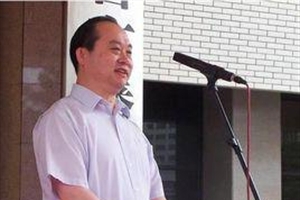 舒展的意思、造句、反义词