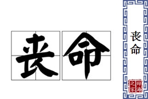 丧命的意思、造句、反义词