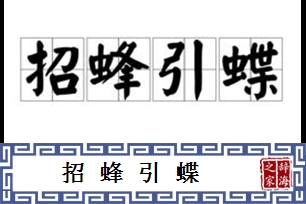 招蜂引蝶