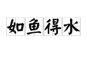 如鱼得水