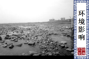 环境影响