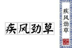 疾风劲草