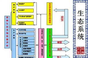 生态系统