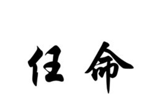 任命的意思、造句、反义词