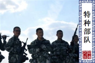 特种部队
