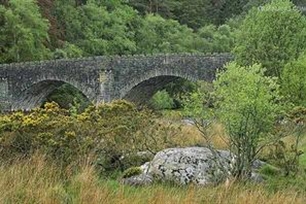 拱桥的意思、造句、反义词