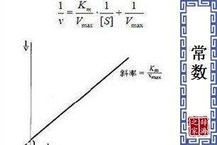 常数的意思、造句、反义词