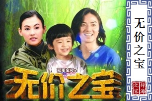 无价之宝的意思、造句、近义词