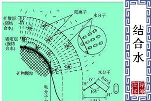 结合水