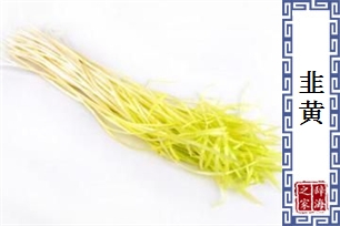 韭黄