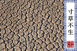 寸草不生