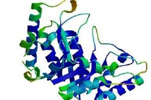 蛋白的意思、造句、近义词
