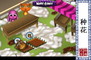 种花