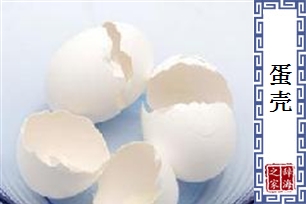 蛋壳