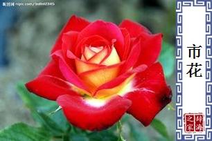 市花