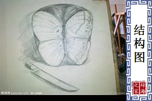 结构图