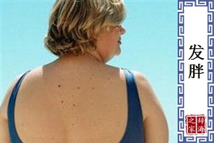 发胖的意思、造句、反义词