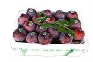 毛重的意思、造句、反义词