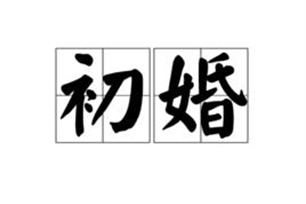 初婚的意思、造句、反义词