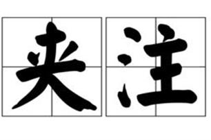 夹注