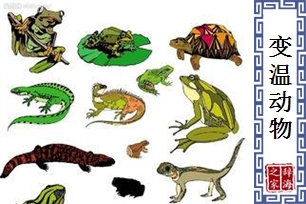 变温动物