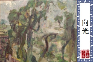 向光的意思、造句、反义词