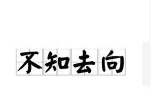 不知去向的意思、造句、近义词