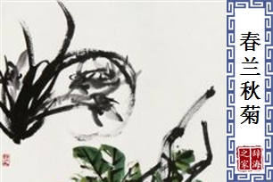 春兰秋菊的意思、造句、反义词