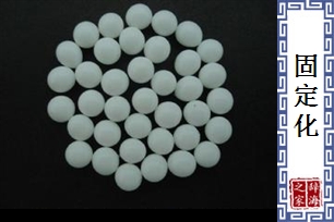 固定化