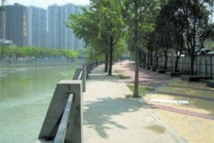 绿道