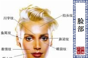 脸部