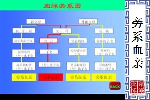 旁系血亲的意思、造句、反义词