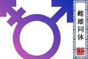 雌雄同体