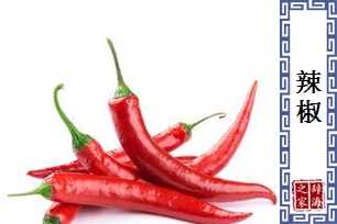辣椒