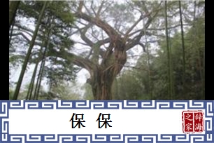 保保