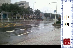 中雨