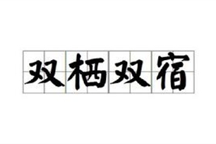 双栖双宿