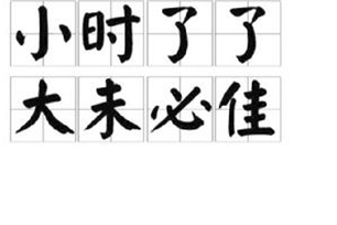小时了了，大未必佳