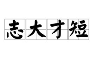 志大才短