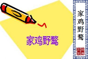 家鸡野鹜