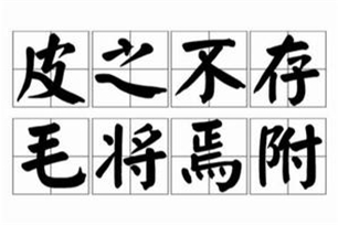 皮之不存，毛将焉附