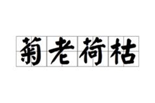 菊老荷枯