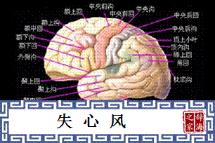 失心风
